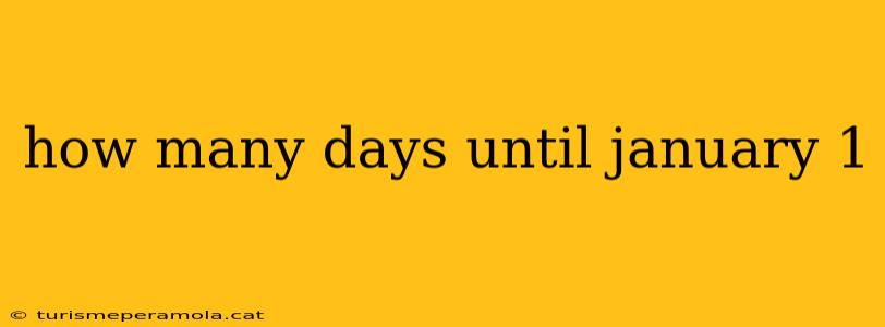 how many days until january 1