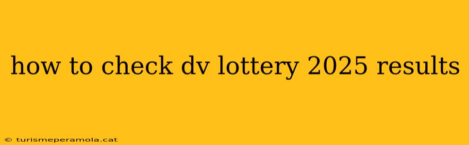 how to check dv lottery 2025 results