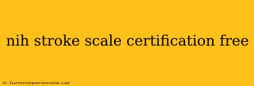 nih stroke scale certification free