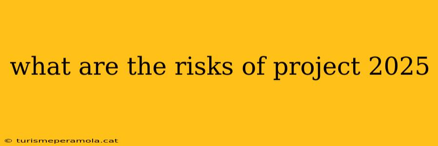 what are the risks of project 2025