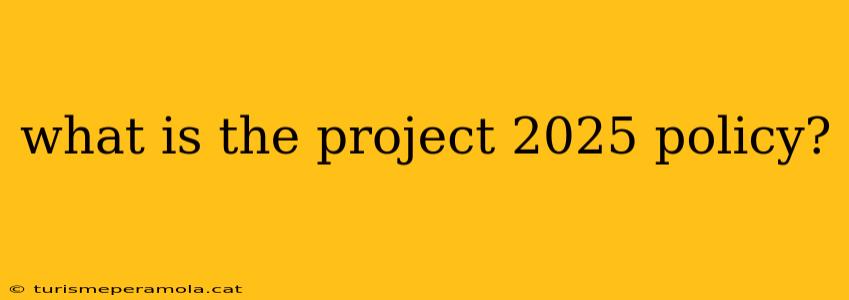 what is the project 2025 policy?