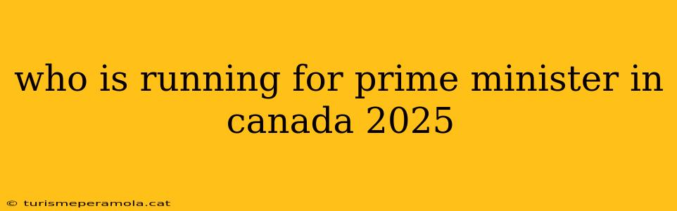 who is running for prime minister in canada 2025